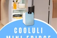 Win a Cooluli Mini Fridge — Enter Our Giveaway Now