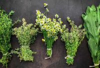 5 Effective Methods to Dry Herbs and Preserve Your Harvest