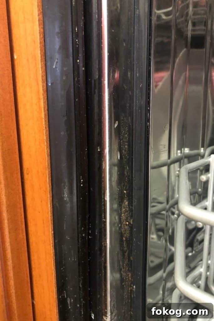 Dirty sides of the dishwasher before cleaning.