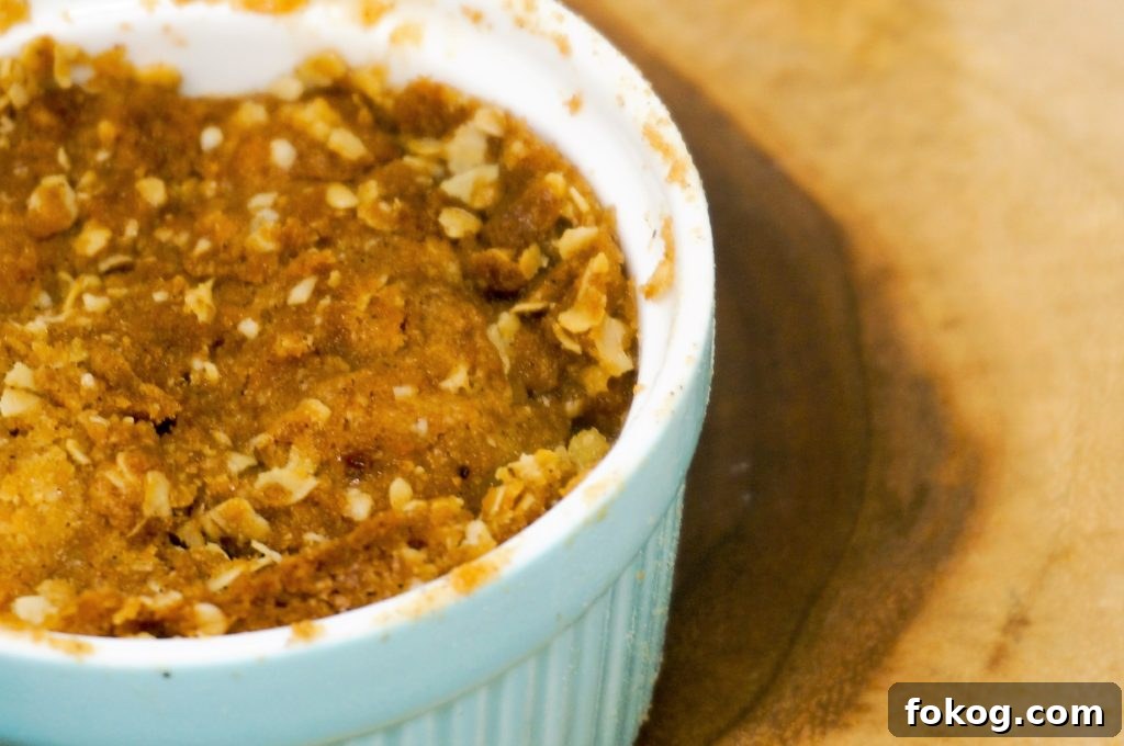 Air Fryer Apple Crisp