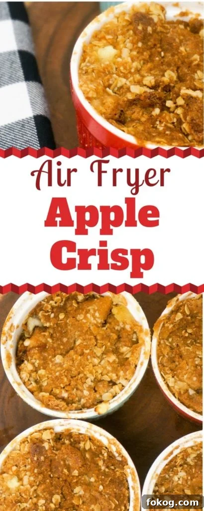 Air Fryer Apple Crisp
