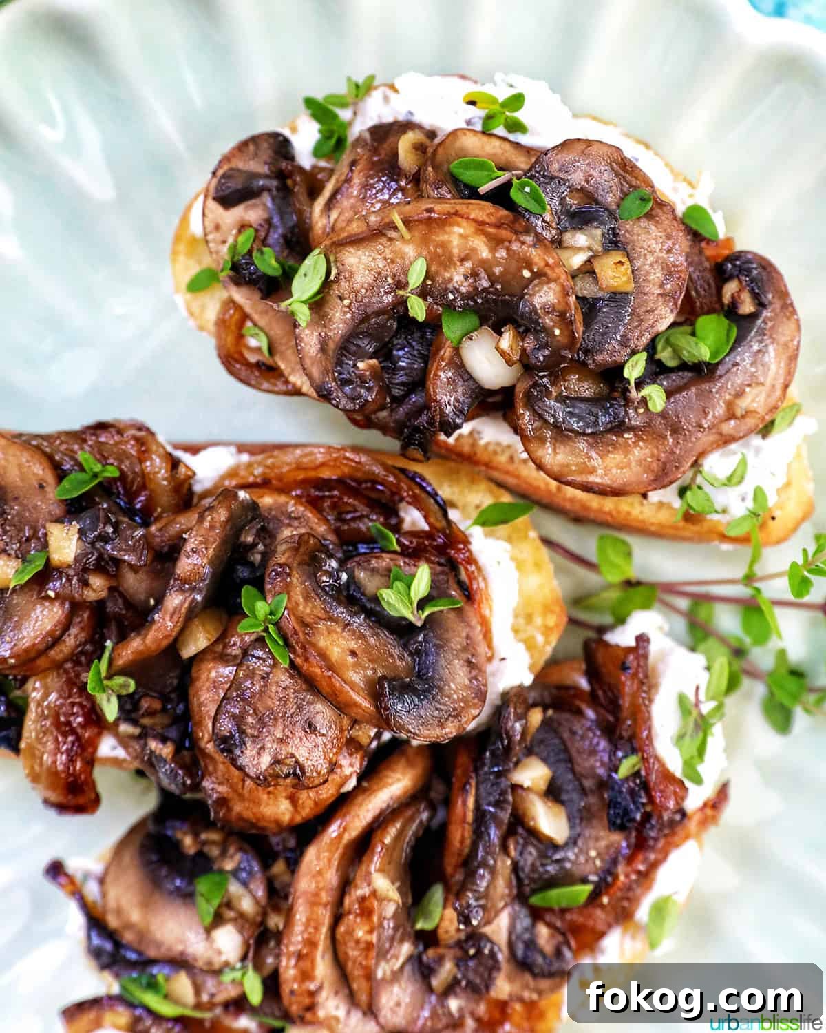 angle of three mushroom crostini on a plate.