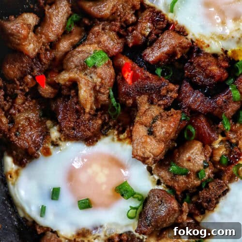 Filipino pork sisig with fried egg on top.