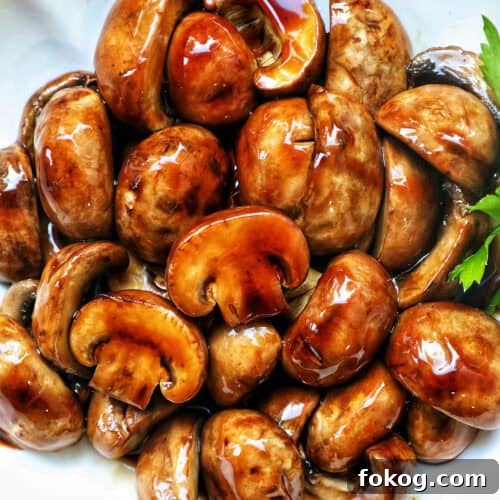 adobo mushrooms