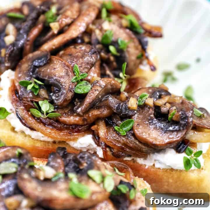 mushroom crostini with fresh thyme garnish.