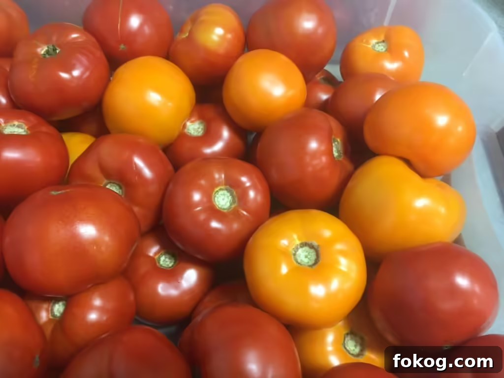Fall in Love With Summer Tomato Pie: A Fresh, Savory Slice 3 img 10427 2