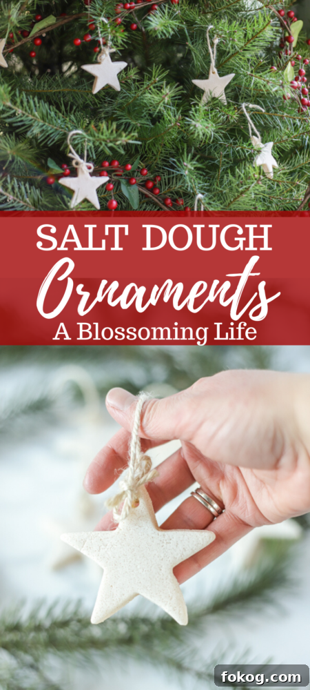 salt dough ornament illustration