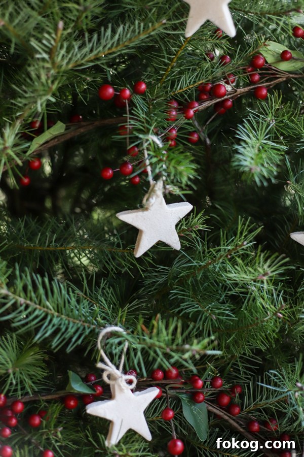 salt dough ornaments in the shape of stars hanging on a fresh Christmas tree with red berries behind