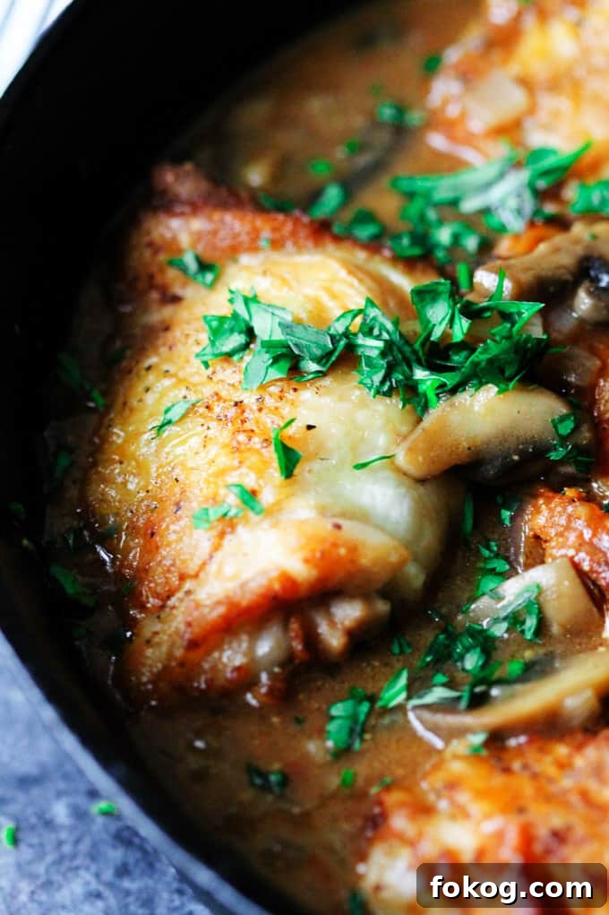 Chicken Chasseur or Hunter's Chicken Close up of French chicken chasseur in a skillet with parsley