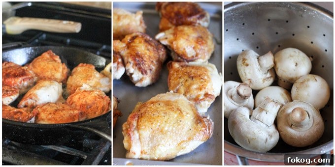 Chicken Chasseur (French Hunter’s Chicken): Classic Rustic Recipe 3 Process shots of making French hunters chicken