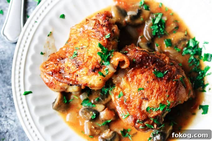 Chicken Chasseur (French Hunter’s Chicken): Classic Rustic Recipe 6 Overhead shot of hunters chicken on a white plate