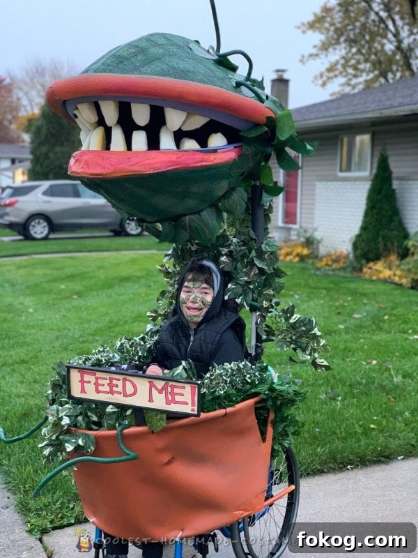 Coolest Audrey II – Little Shop of Horrors Wheelchair Costume