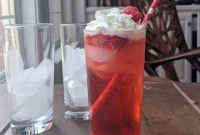 Homemade Diet Soda Recipes You Can Make at Home