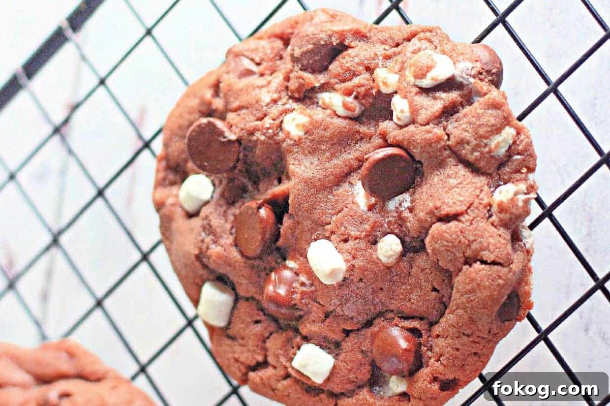 A close-up of a cocoa chip cookie with white and dark chocolate chunks resting on a black cooling rack.