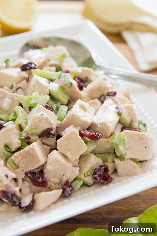 Cranberry Chicken Salad Recipe with Crunchy Pecans and Citrus Vinaigrette 15 Cranberry Chicken Salad - in White Dish with Celery and Craisins