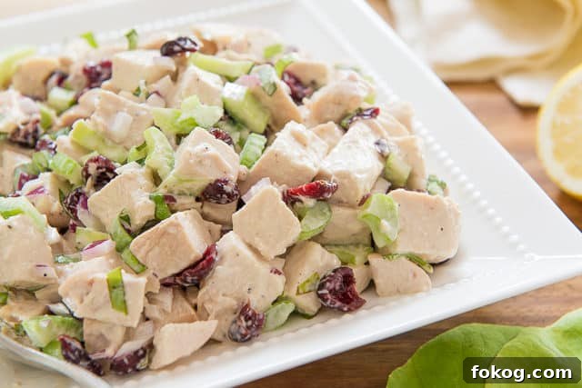 Cranberry Chicken Salad Recipe - in White Dish with Chicken Breast, Cranberries, and Celery 