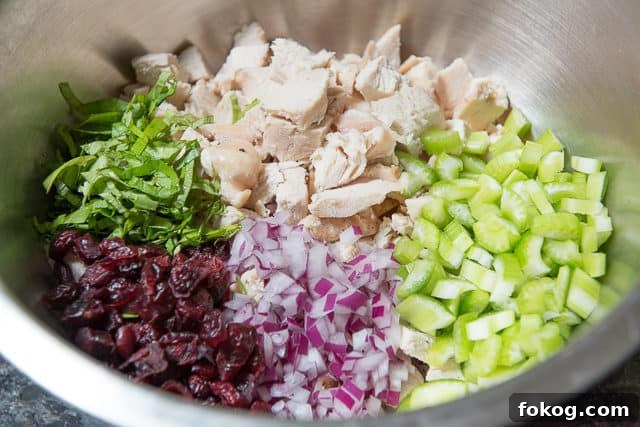 Chicken Breast, Celery, Basil, Cranberries, and Red Onion in Mixing Bowl