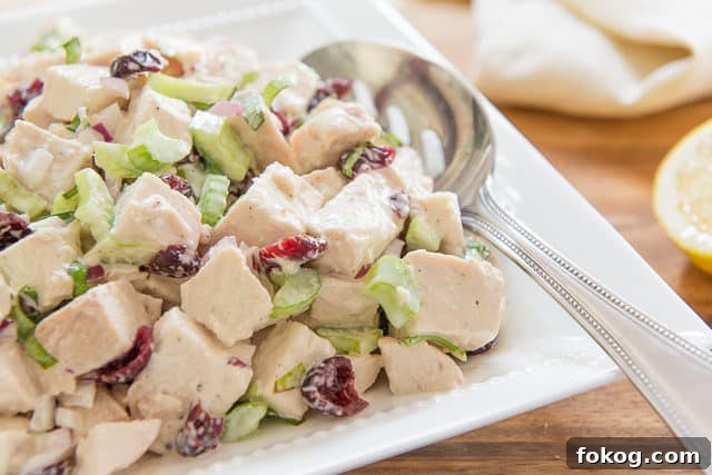 Chicken Salad - In White Dish with Cranberries, Celery, and Basil