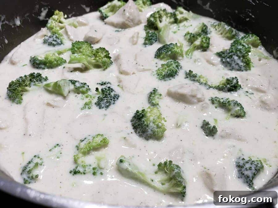 Creamy Chicken Fettuccine Alfredo Recipe for Weeknight Dinner 8 chicken and fresh broccoli cooking in alfredo sauce made from scratch.