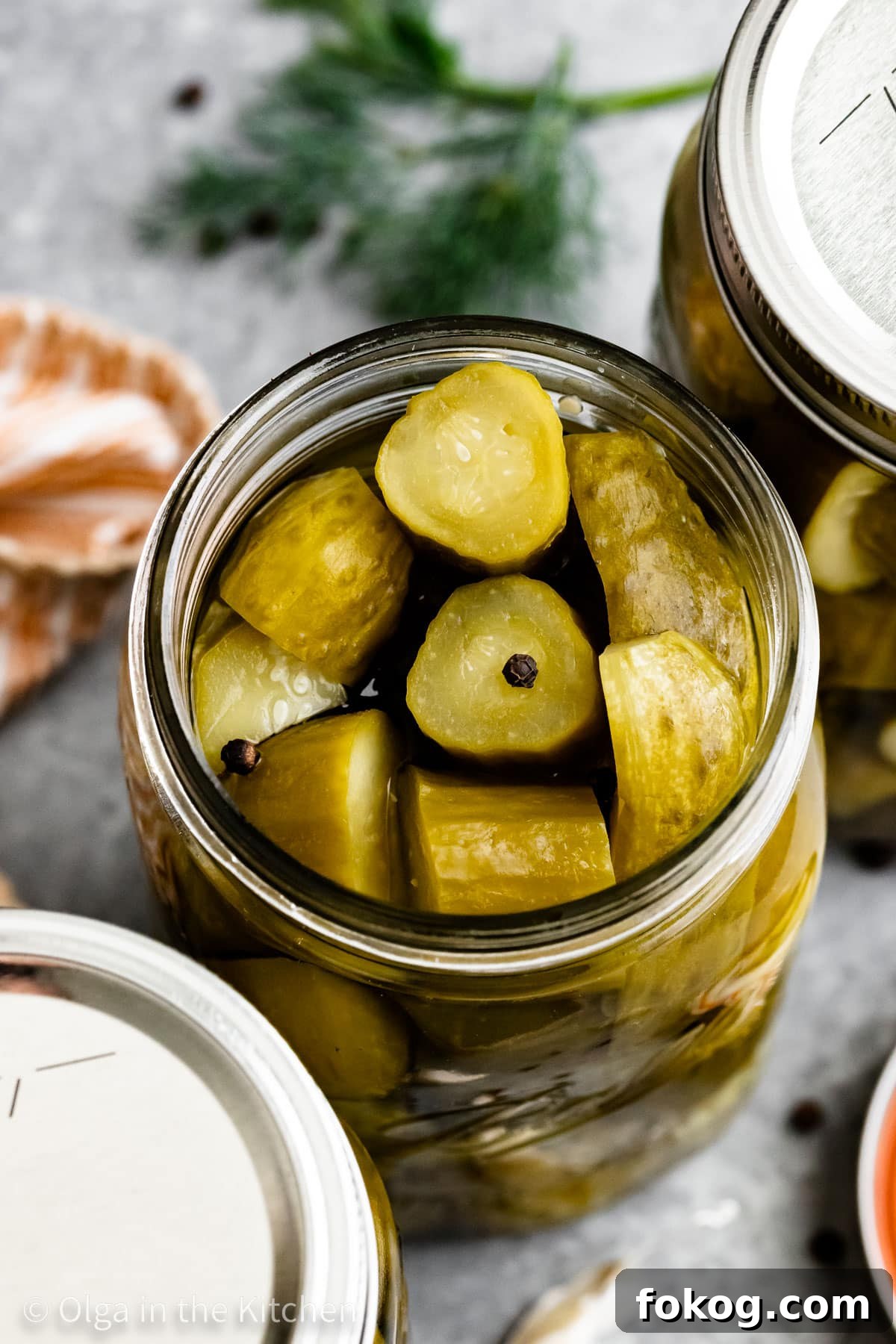 These easy homemade dill pickles are perfectly crisp, tangy and refreshing. They are seasoned with just the right amount of dill and garlic. Whether you’ll serve them with hot dogs, hamburgers or simply enjoy as a snack, they will be good for up to a year in your pantry. The best dill pickle chips recipe.