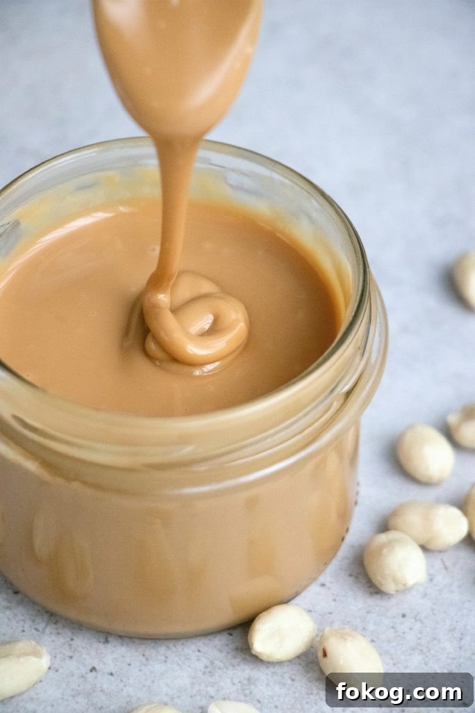 2-Ingredient Peanut Butter Fudge Recipe + Video Tutorial 3 img 13511 2