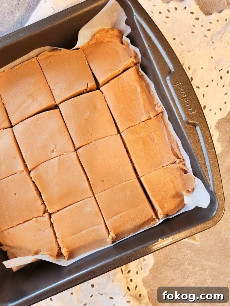2-Ingredient Peanut Butter Fudge Recipe + Video Tutorial 4 img 13511 3