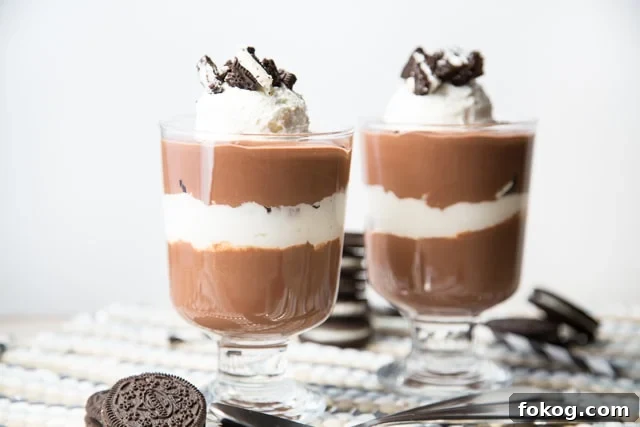 Two chocolate parfaits topped with whipped cream