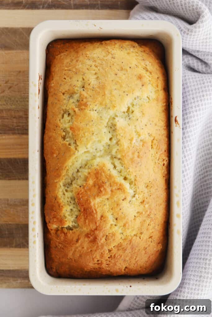 Lemon Poppy Seed Loaf Recipe: Moist Citrus Quick Bread 2 lemon poppy seed bread recipe in a loaf pan.