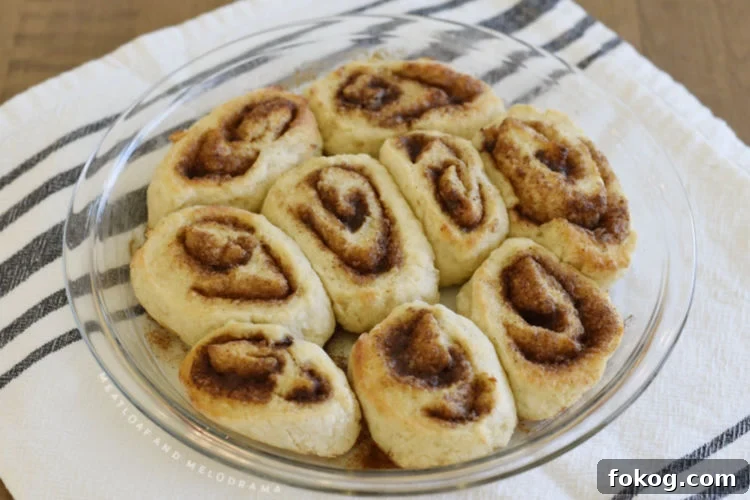 cinnamon rolls baked in air fryer toaster oven
