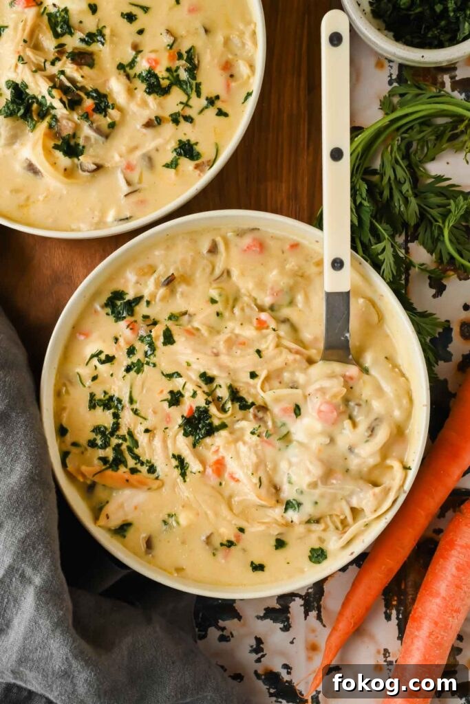Cream of Chicken and Wild Rice Soup