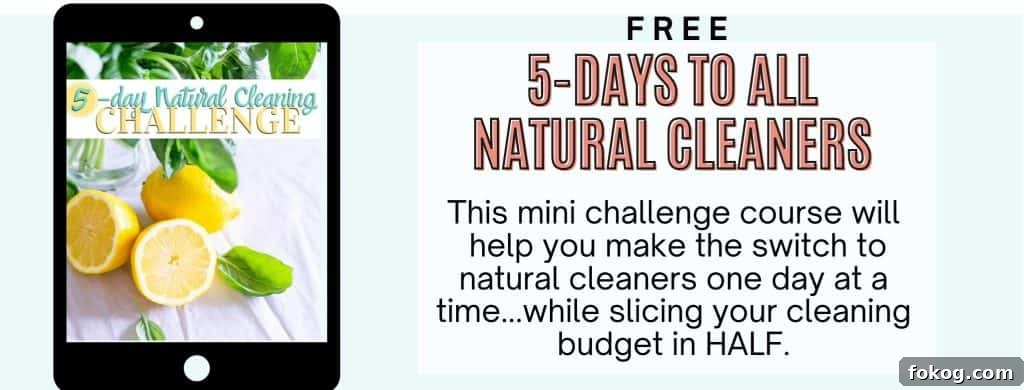 homemade natural household cleaners
