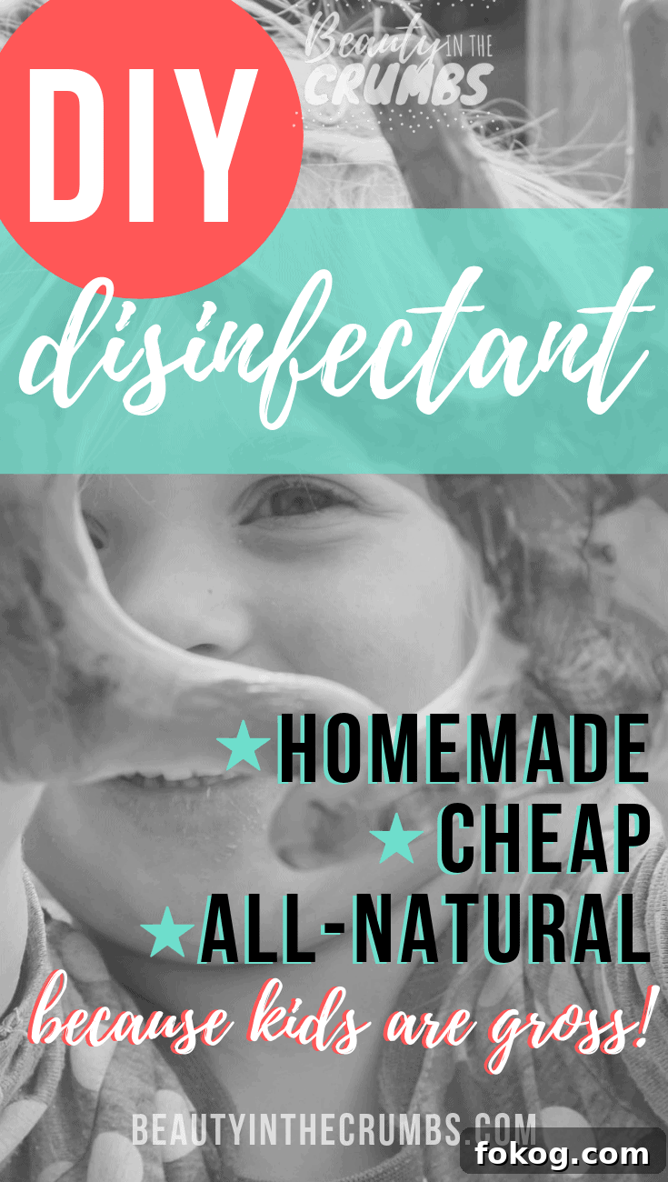 diy disinfectant that works
