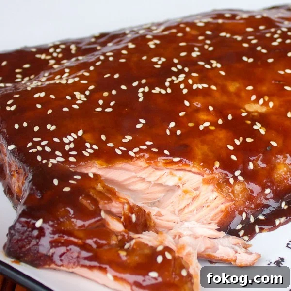 Smoked Salmon with Orange-Hoisin Glaze Recipe 3 Smoked Salmon with Orange Hoisin Glaze-3