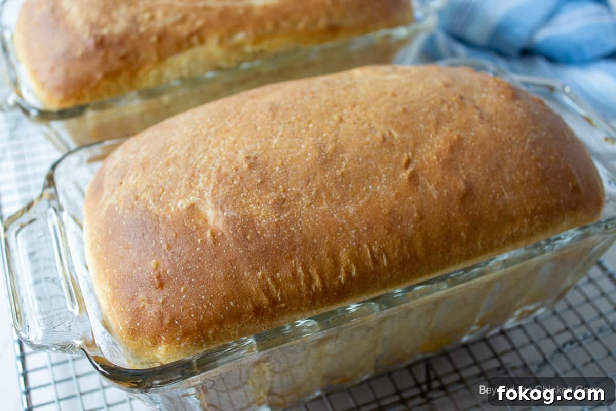Two baked loaves of bread in glass bread pans.