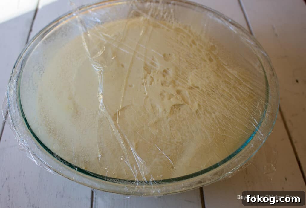 Bread dough risen to the top of the bowl.
