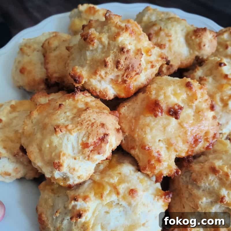 Simple Bisquick Recipes for Delicious Breakfasts and Snacks 12 Cheddar Bay Biscuits stacked on a white plate
