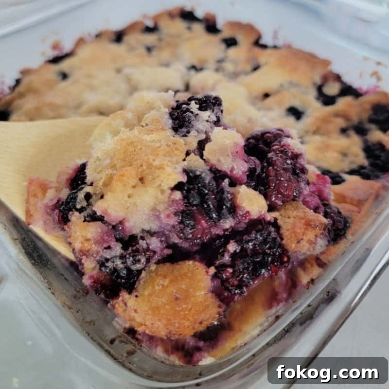 Simple Bisquick Recipes for Delicious Breakfasts and Snacks 3 Bisquick blackberry cobbler in a glass baking dish with a wooden spoon scooping cobbler out