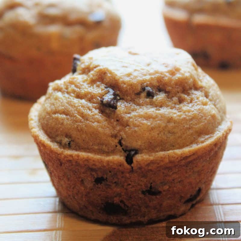 Simple Bisquick Recipes for Delicious Breakfasts and Snacks 20 Pumpkin chocolate chip muffins on a place mat