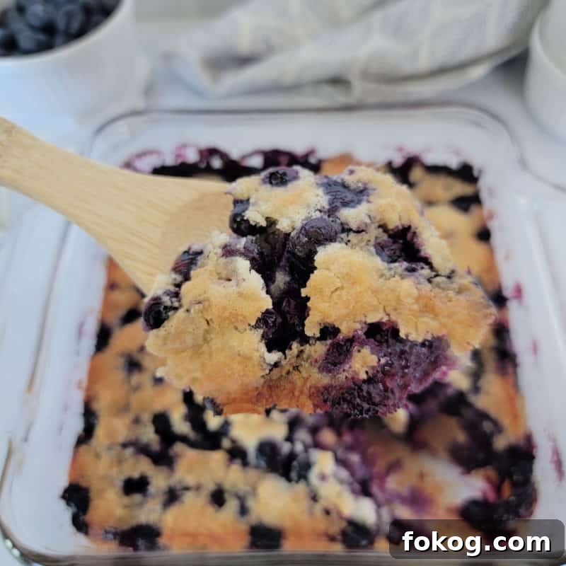 Simple Bisquick Recipes for Delicious Breakfasts and Snacks 6 Bisquick blueberry cobbler on a wooden spoon above a baking dish