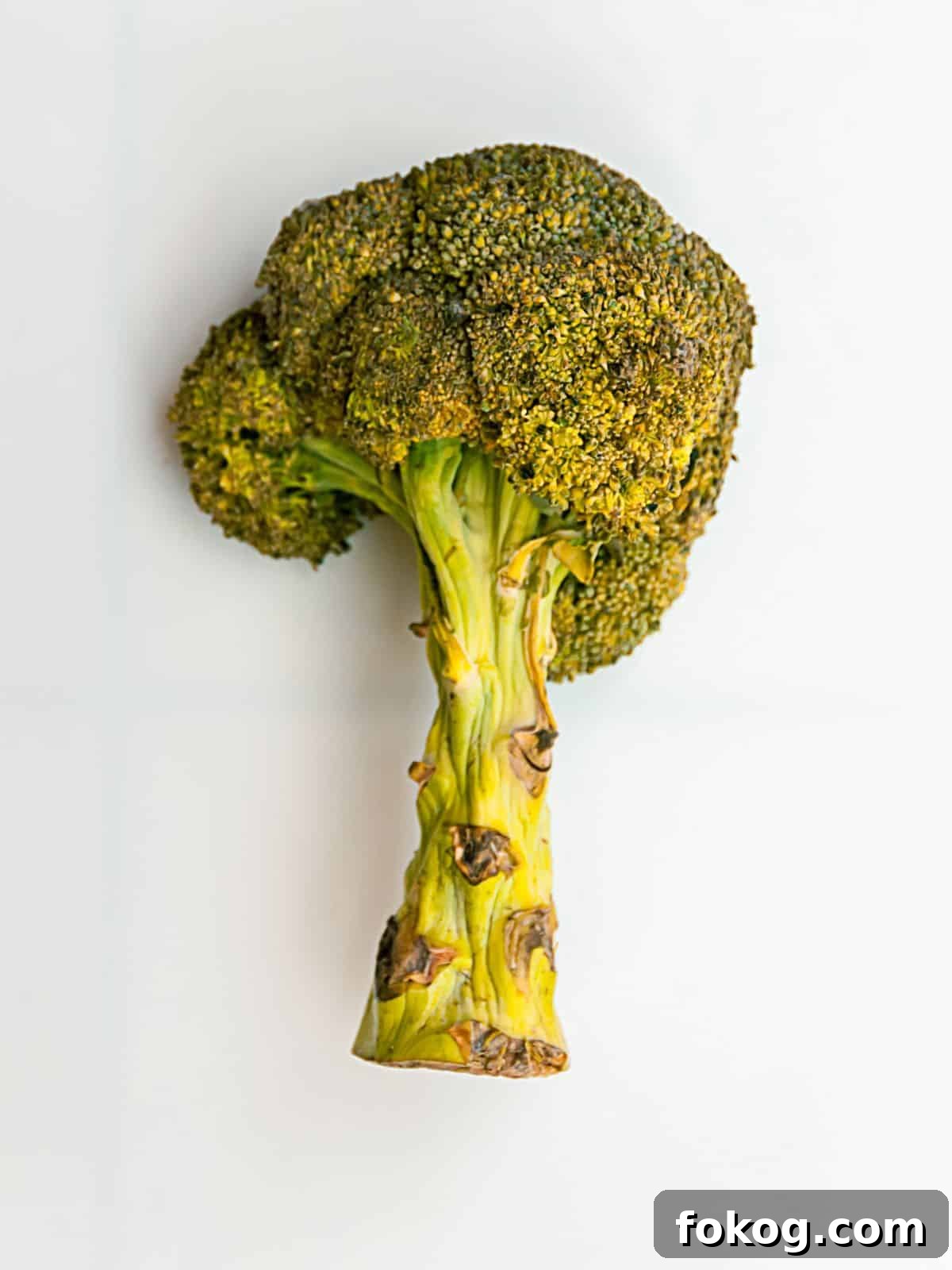 Is Yellow Broccoli Safe to Eat? What It Means for Your Health 2 a head of yellow broccoli.