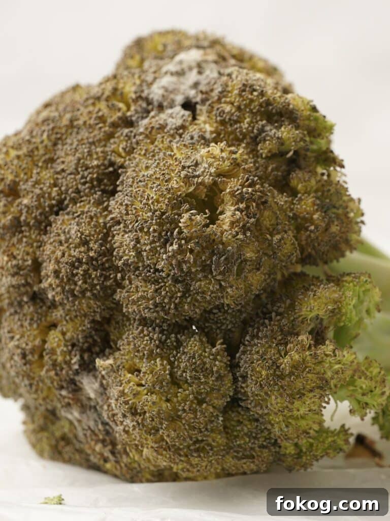Is Yellow Broccoli Safe to Eat? What It Means for Your Health 3 img 16346 2