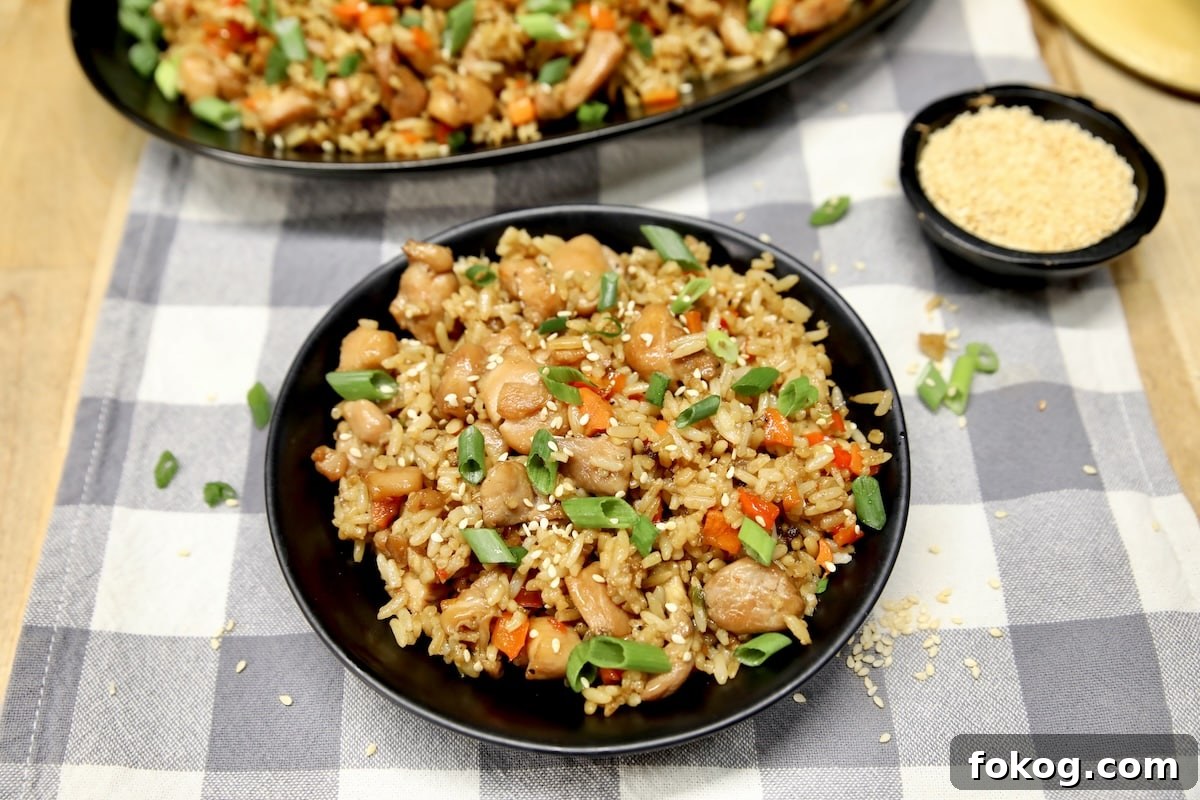 Bowl of fried rice.