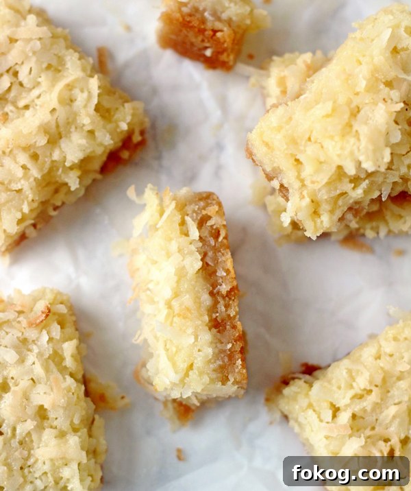 Coconut bars closeup