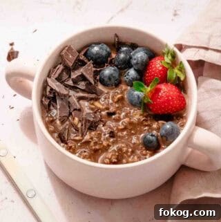 chocolate oatmeal in bowl with fruit garnish.
