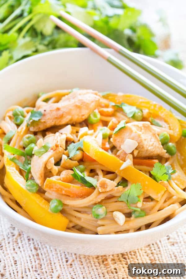 Thai Peanut Chicken Noodles