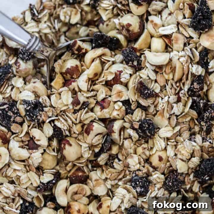 Close up of Rye and Oat Muesli with Dried Cherries and Hazelnuts.