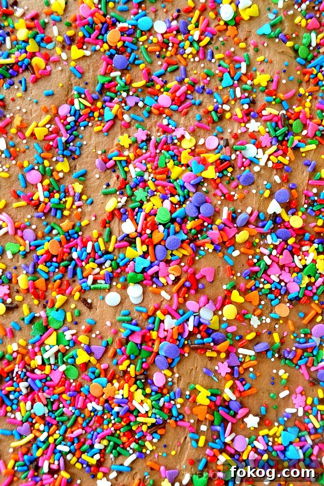 rainbow sprinkles on a chocolate frosted cake