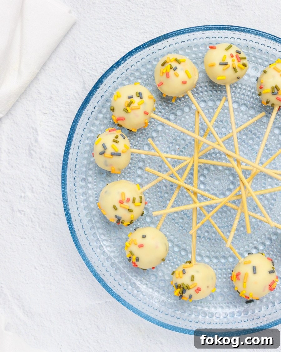Keto Cottage Cheese Cake Pops Recipe — Low-Carb Dessert Bite 13 plated Keto Cottage Cheese Cake Pops