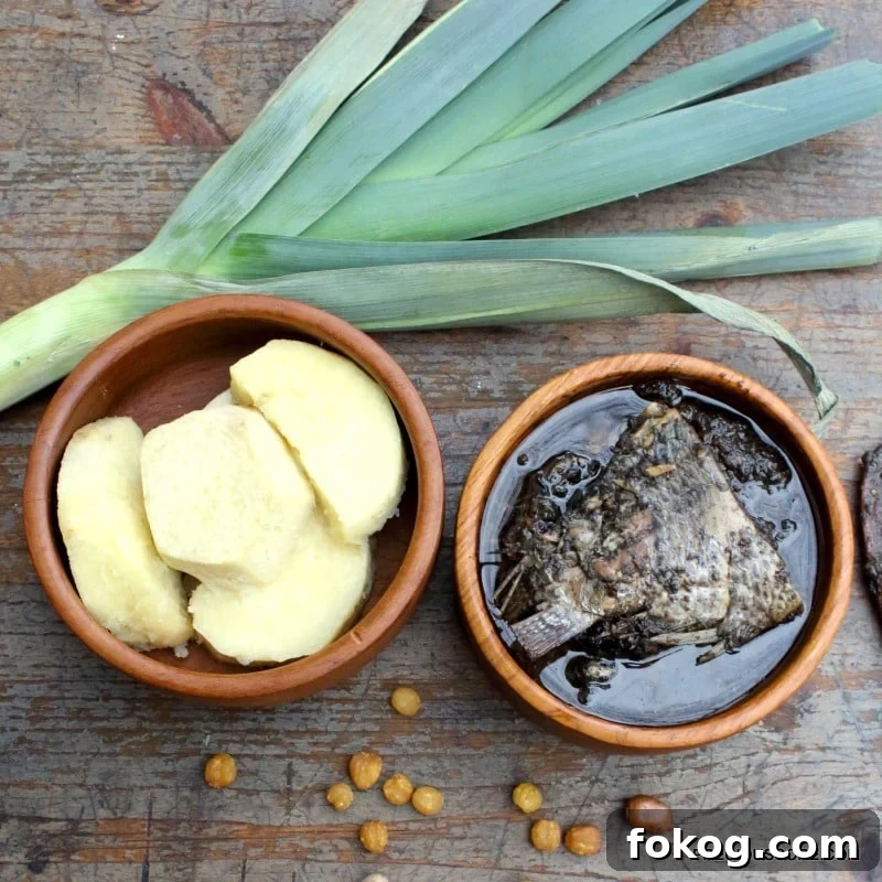 mbongo-tchobi