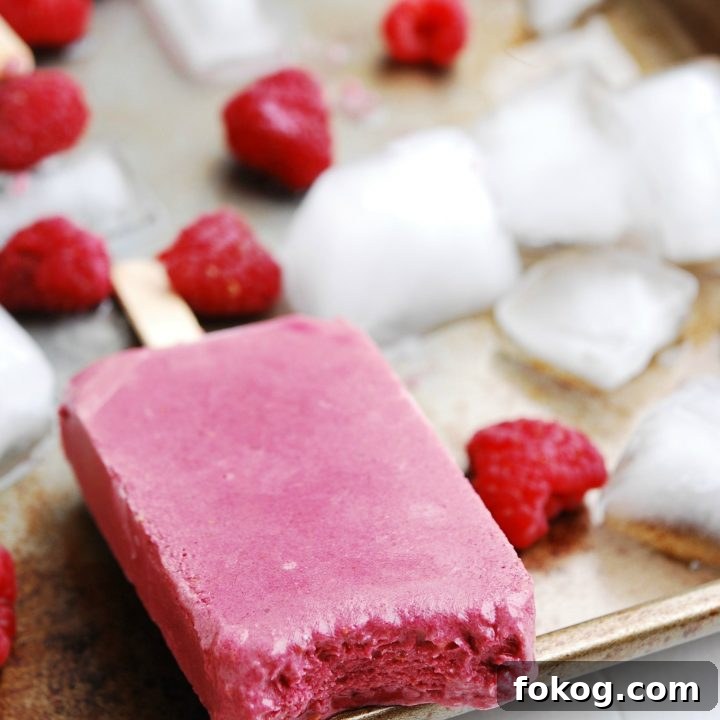 Top-8-Free Raspberry Chocolate Popsicles Recipe by AllergyAwesomeness